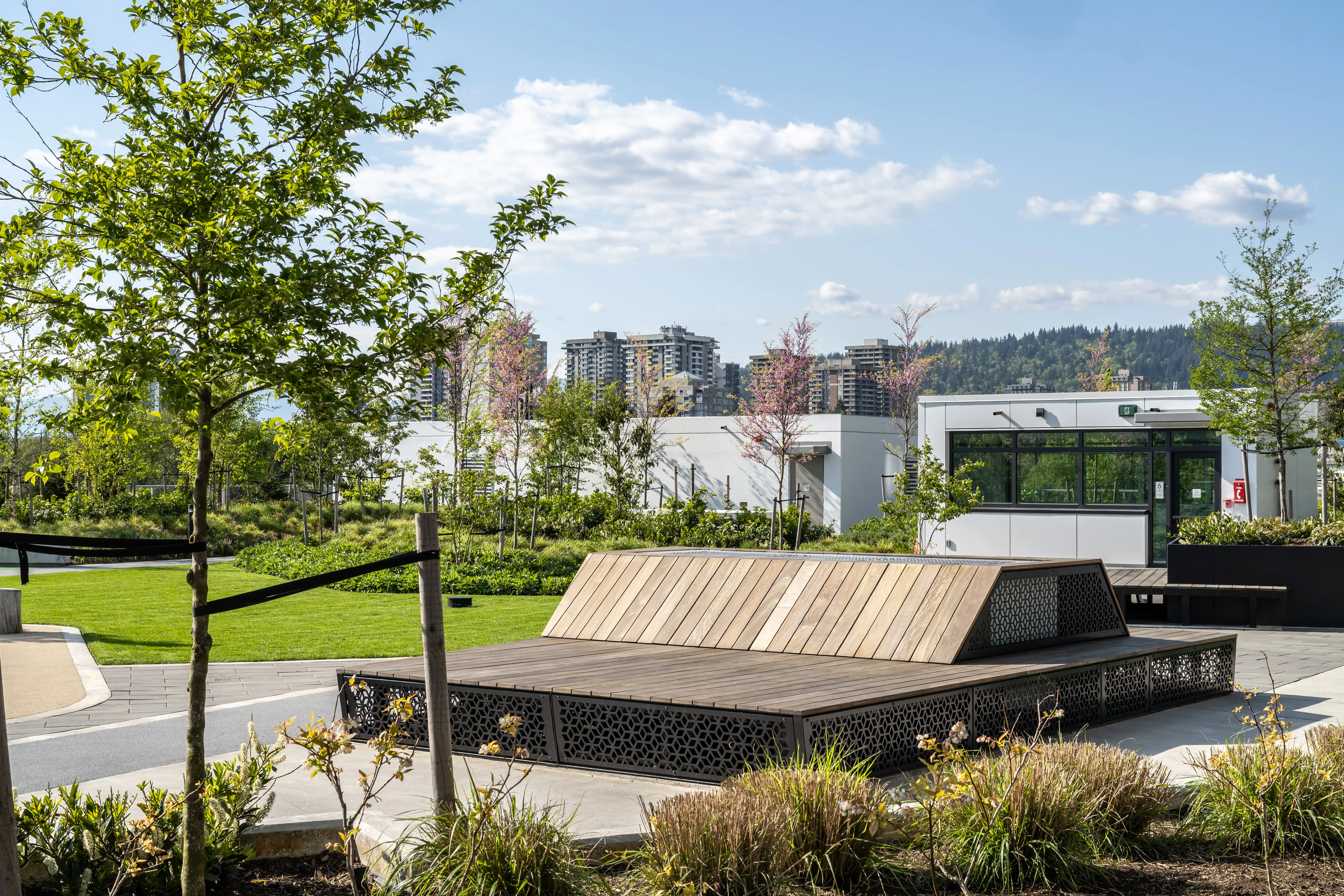 Timber lounge platform and planting on a rooftop at Soco