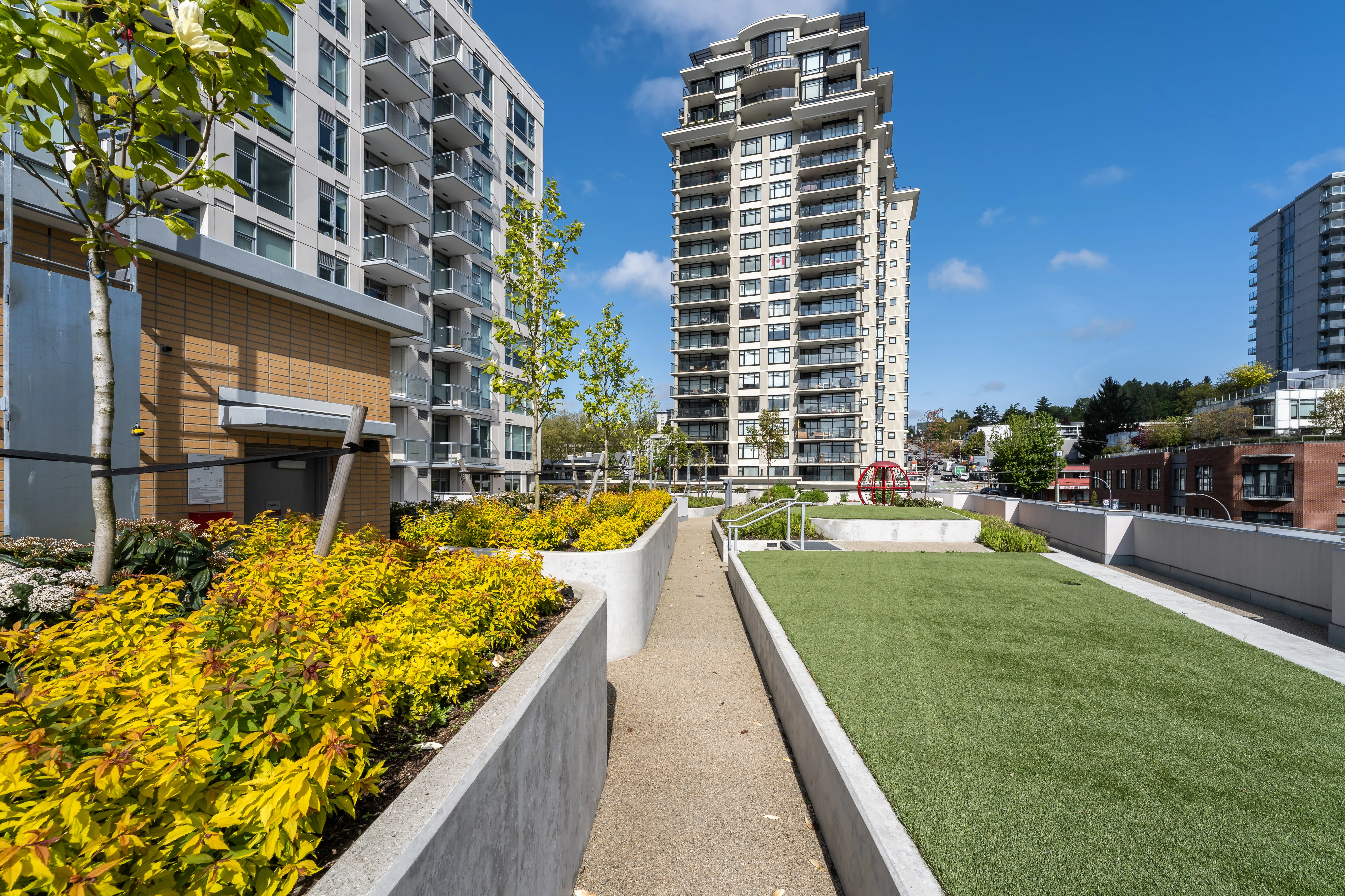 Lawn strip and yellow-flowering planters along a rooftop walkway at 618 Carnarvon