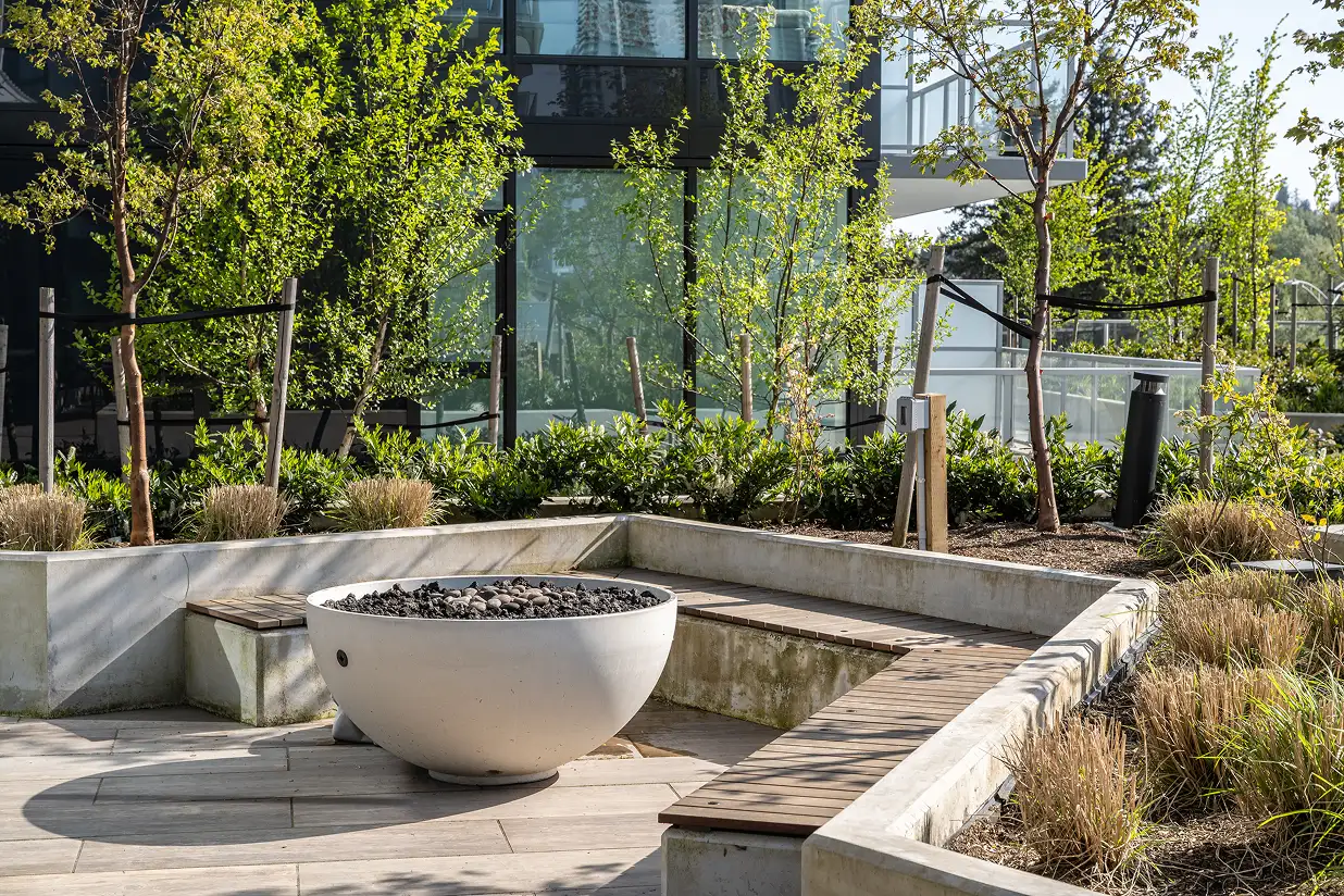 Courtyard with concrete fire bowl, timber seating and planted beds
