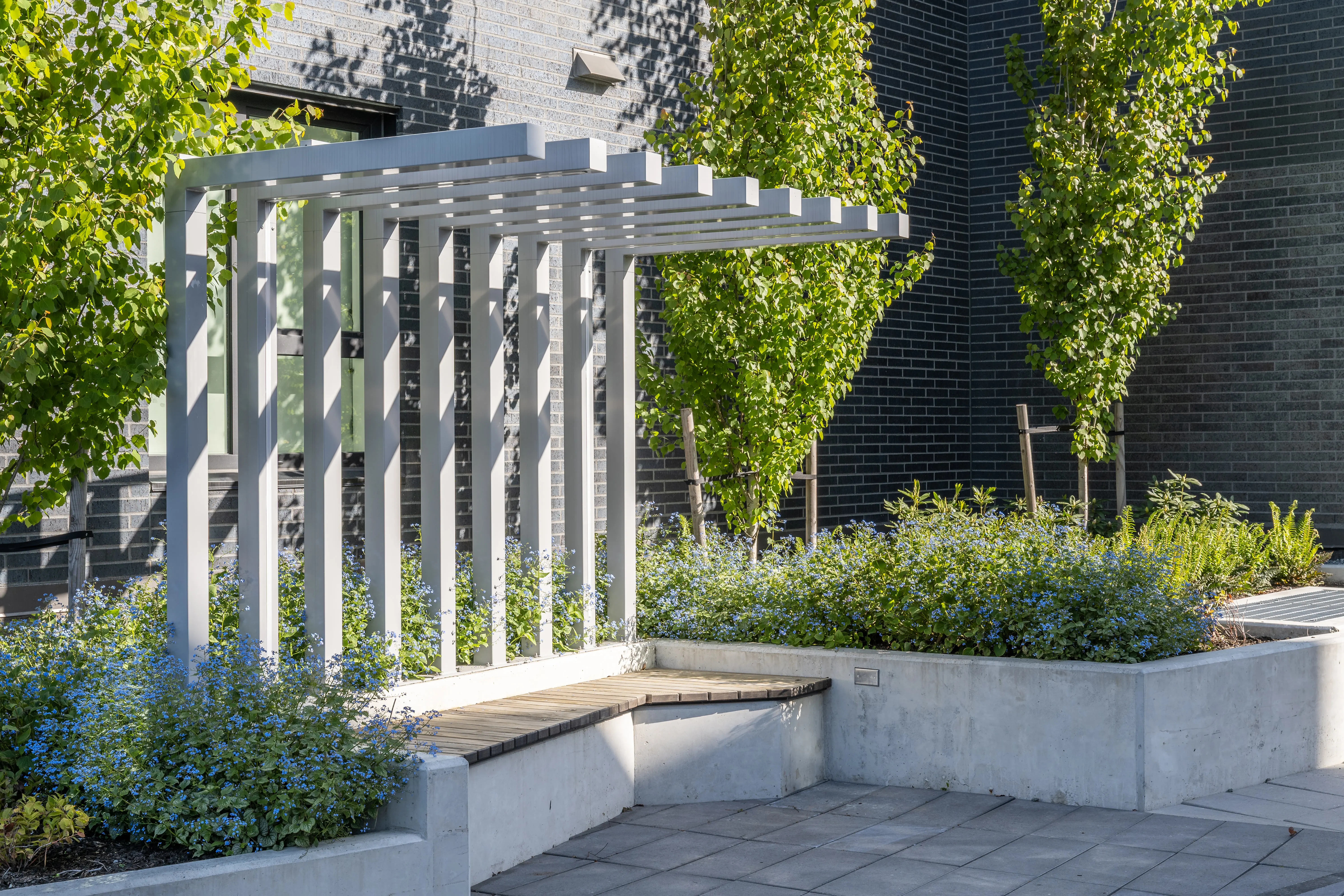 Pergola over a concrete bench with planting and columnar trees at Voyce