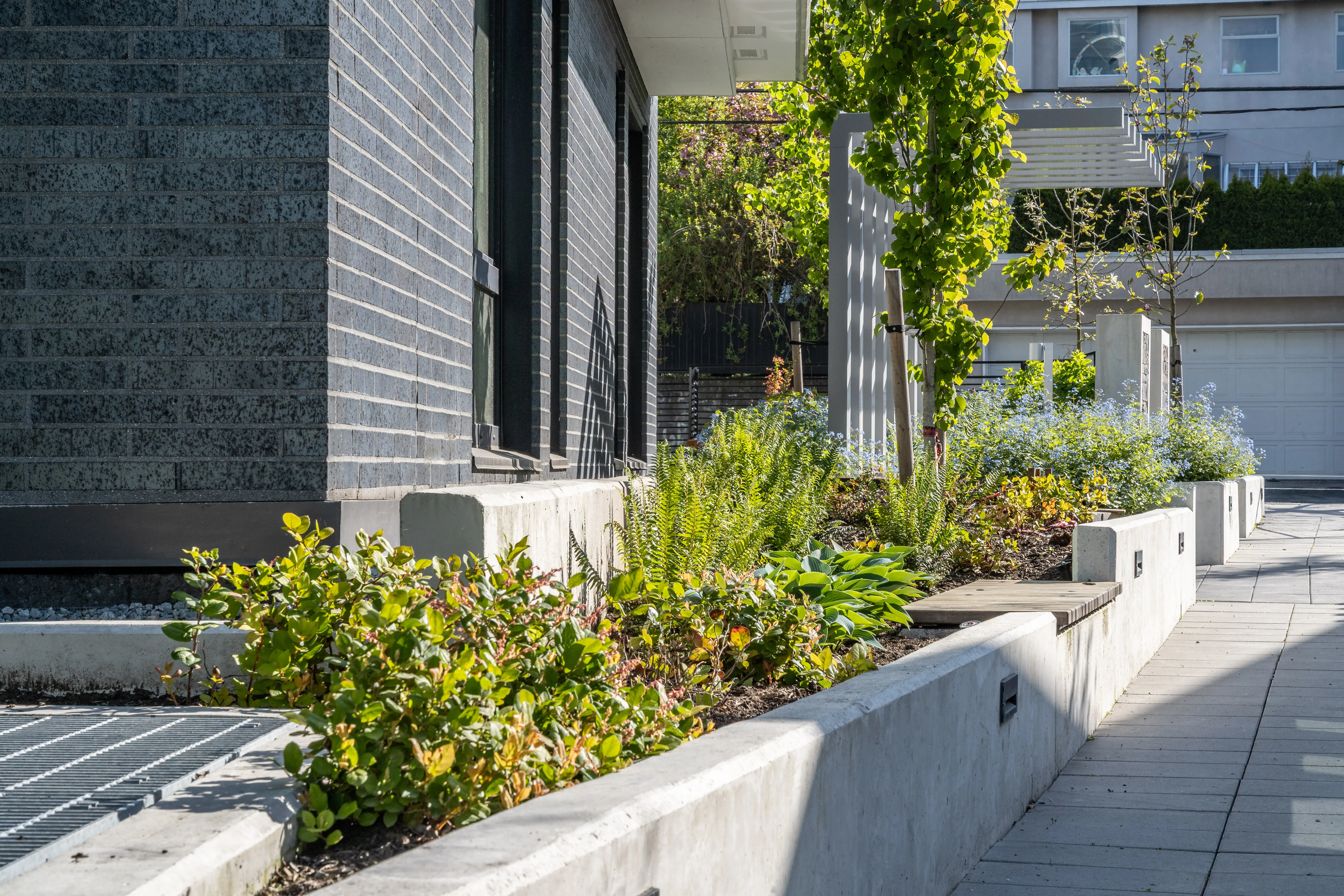 Raised concrete planter with mixed planting beside a walkway at Voyce