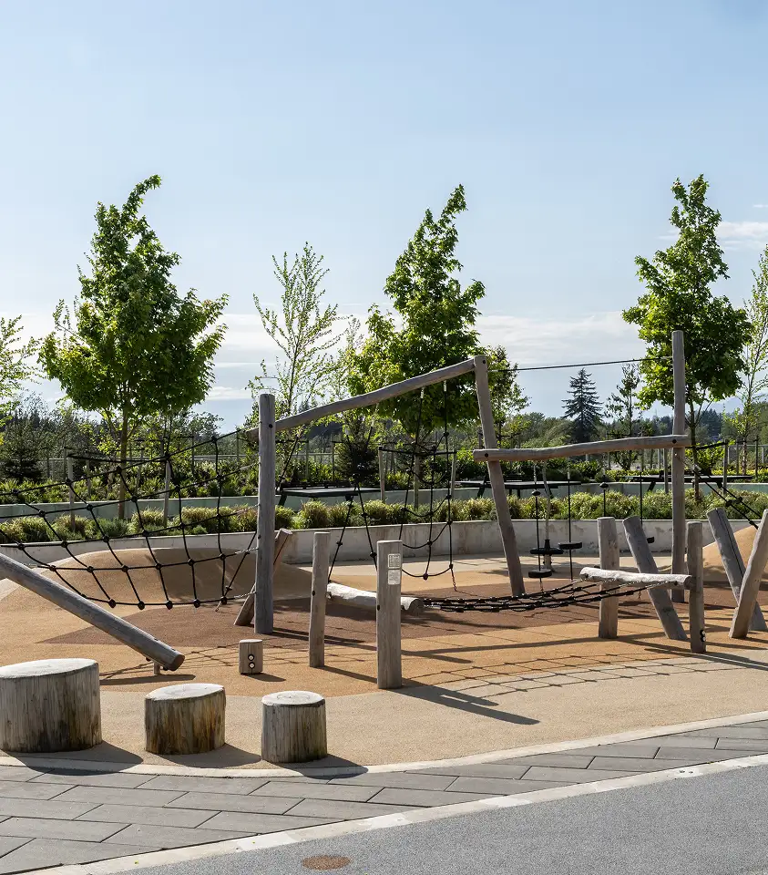 Timber play structure with log stumps and young trees in a playground
