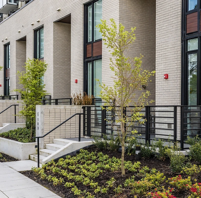 Townhome entry stairs with young trees and planting at Melrose