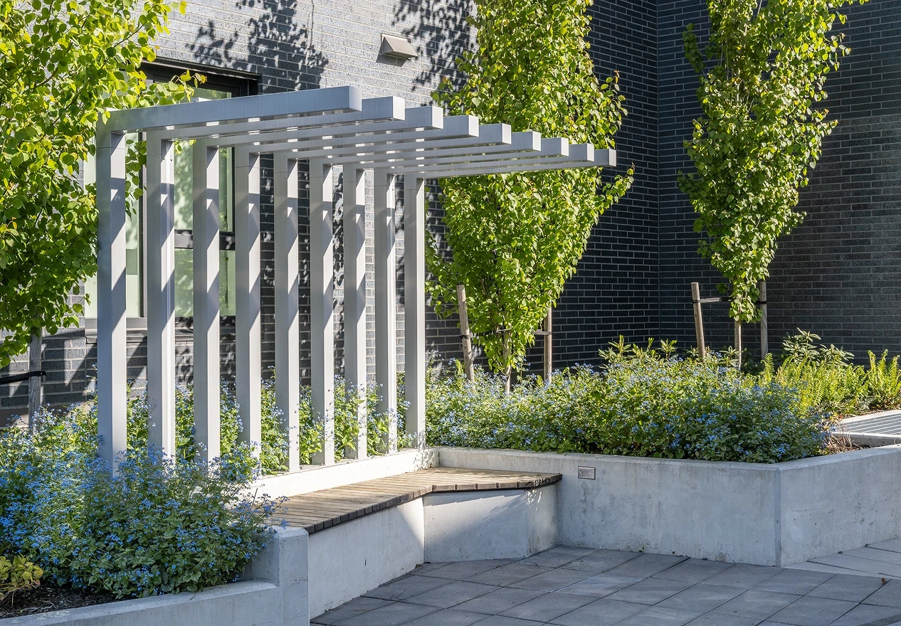 Pergola over a concrete bench with planting and columnar trees