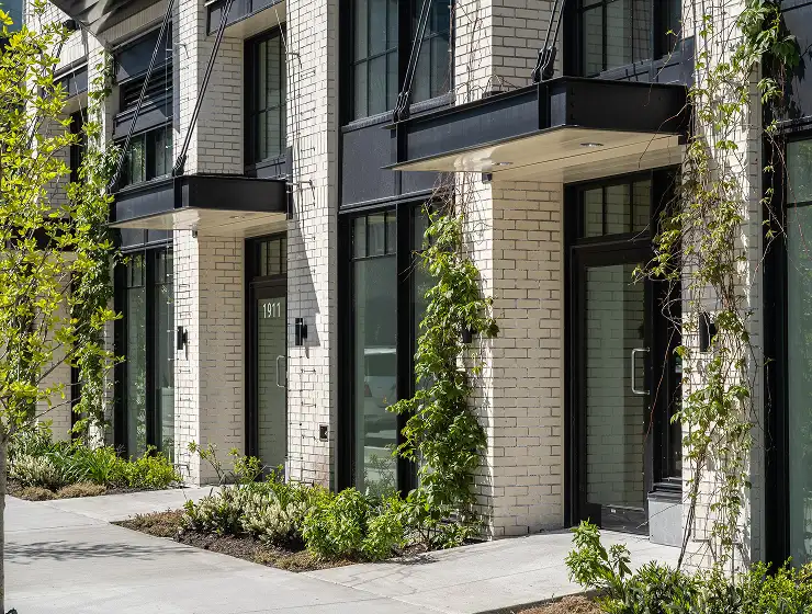 Townhome entries with climbing vines and planting along a white brick facade