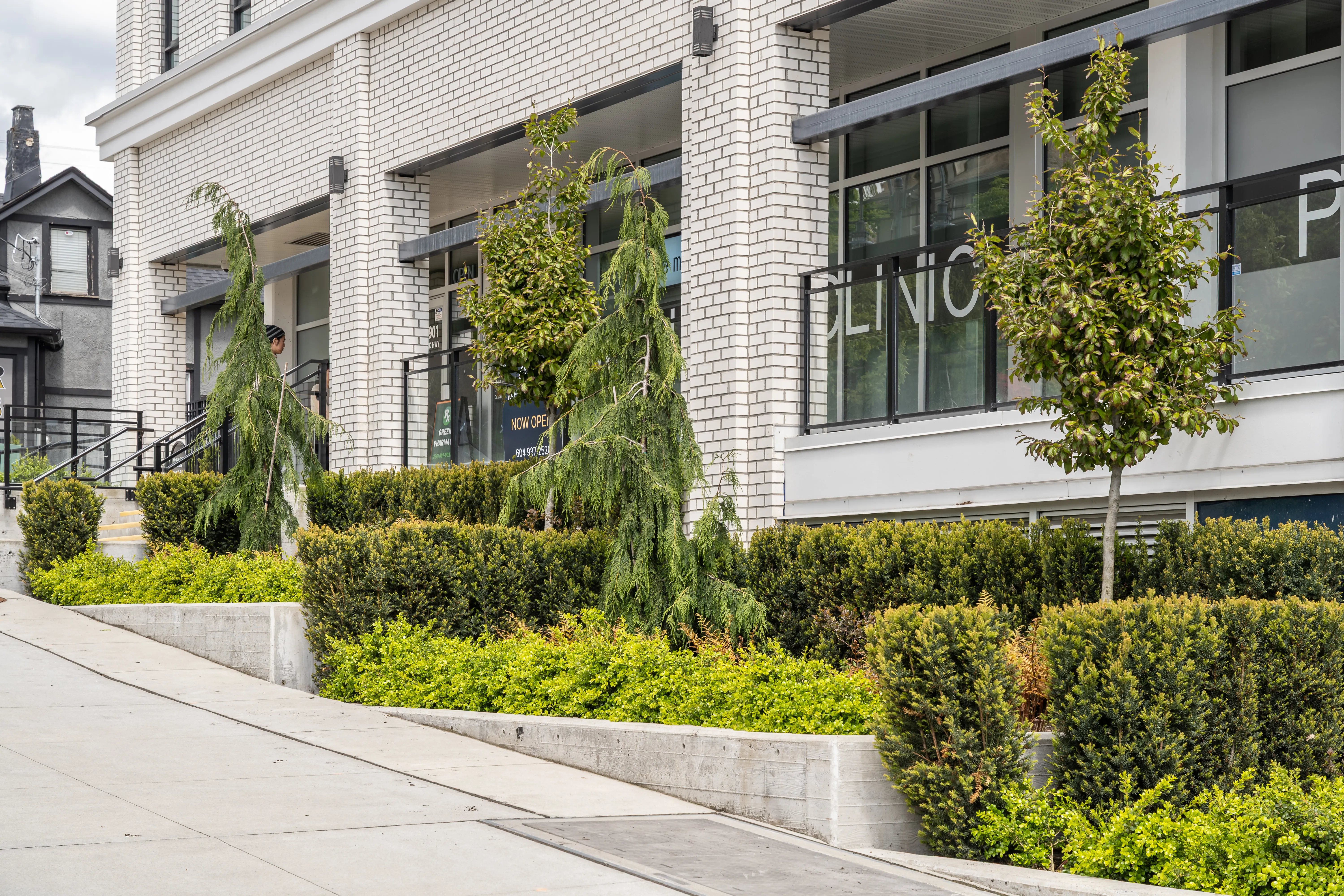 Shrub and tree planting in raised beds along a white brick facade at Loma