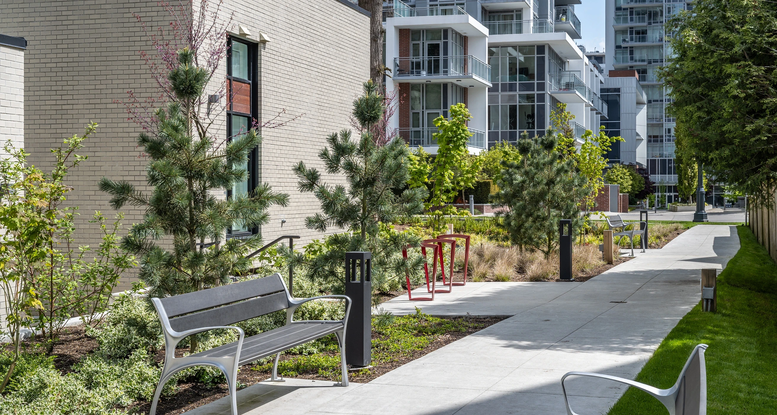 Bench and pathway through evergreen and shrub planting at Melrose