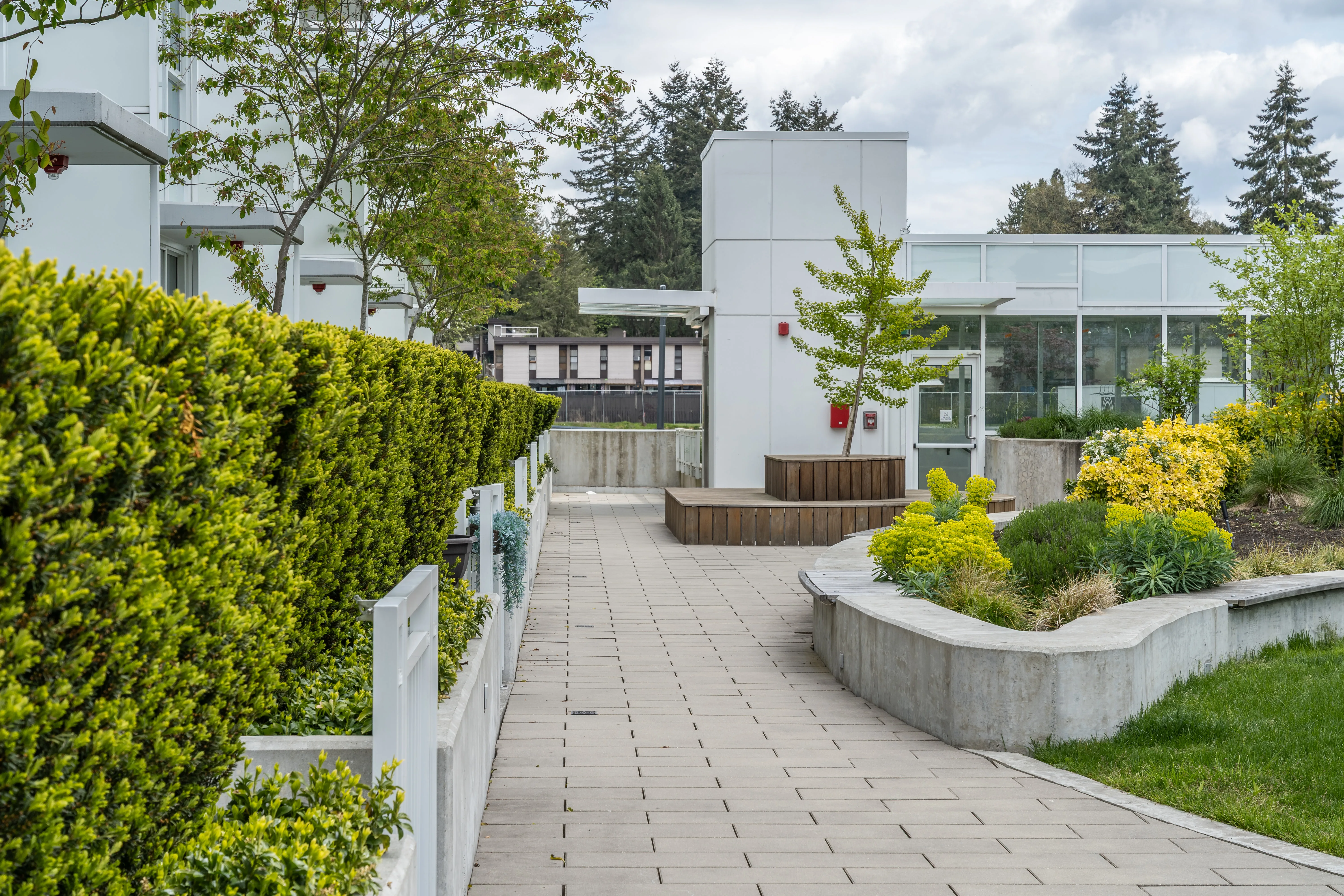 Paved walkway with hedges and raised planters at Georgetown