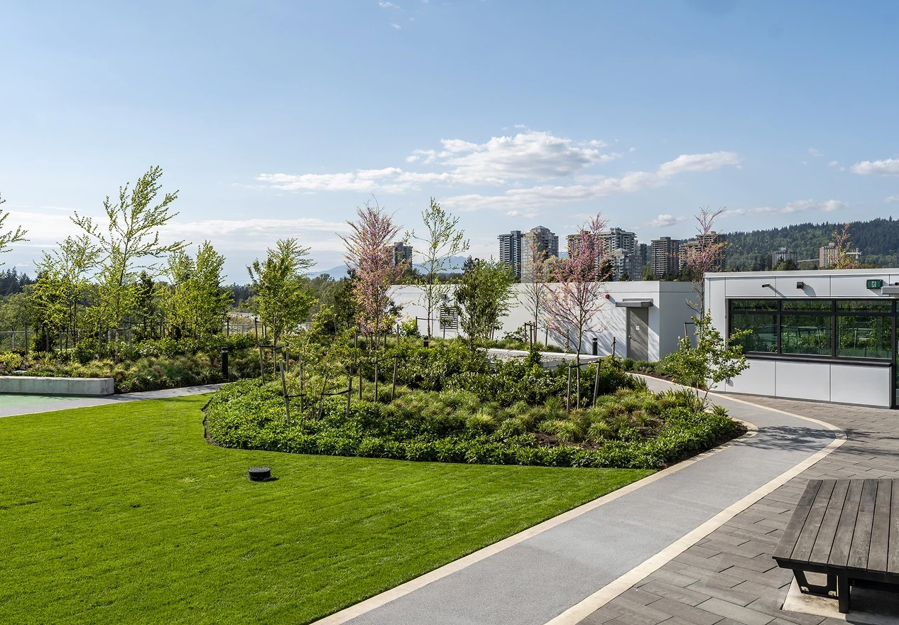 Lawn, curved pathway and planted mounds in a rooftop park