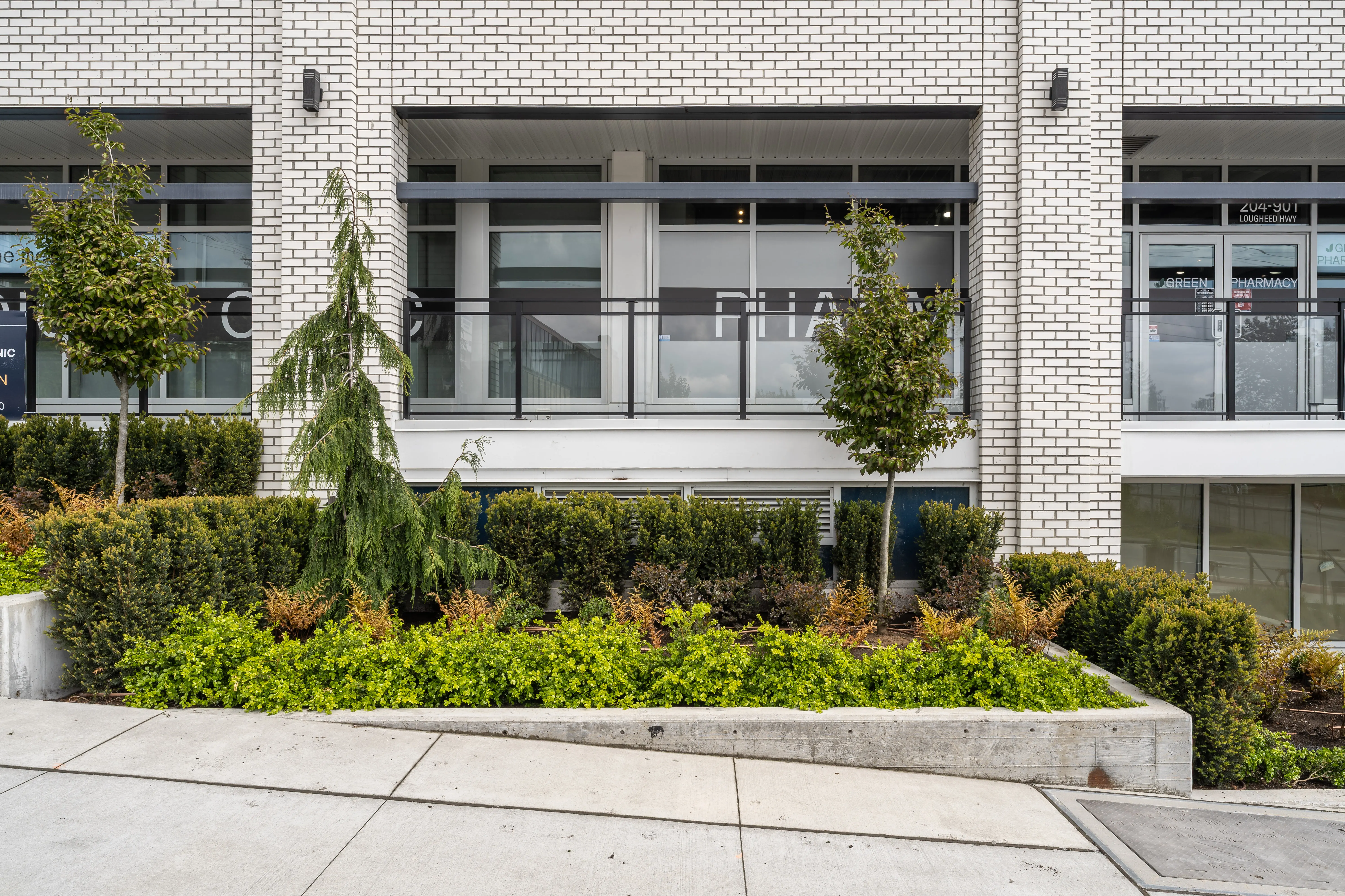 Shrub planting and young trees along a white brick building at Loma
