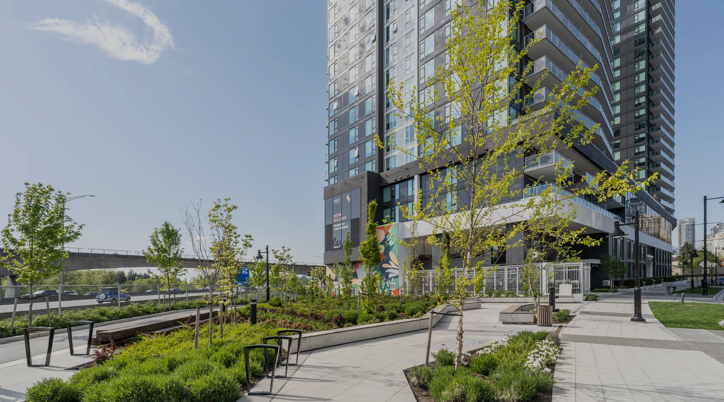 Paved plaza with trees, planting and benches beside a high-rise