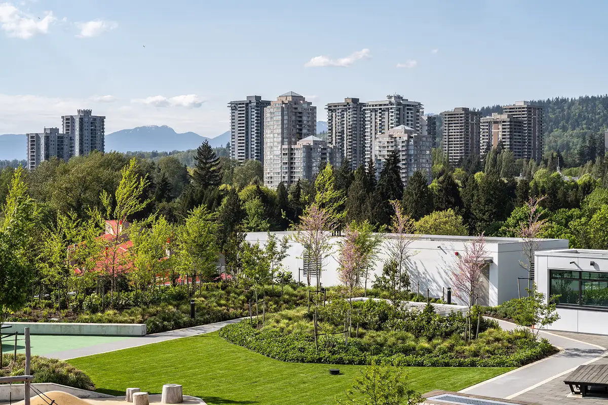 Rooftop lawn and planted mounds with high-rise towers and mountains beyond