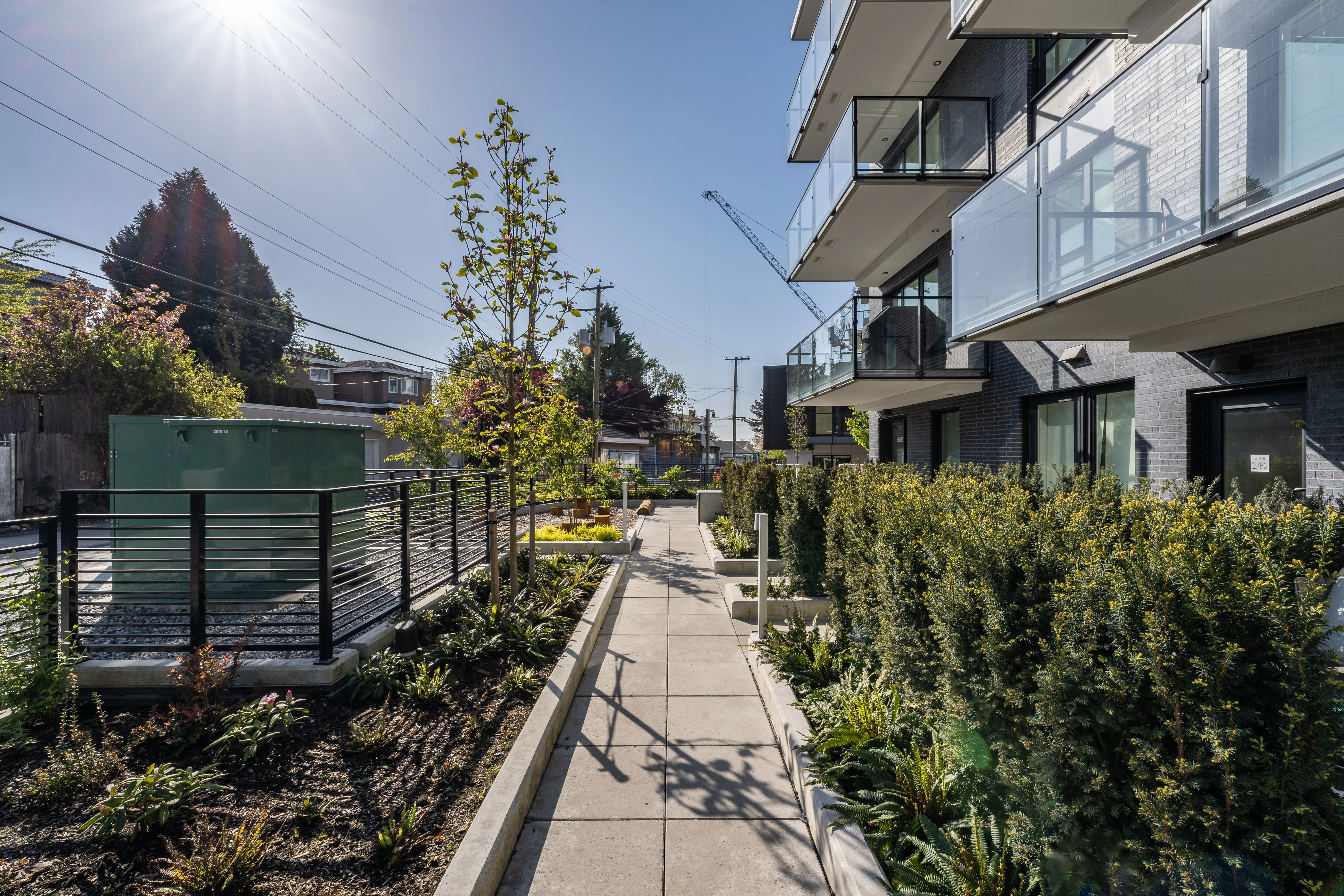 Walkway between hedges and planting beside a building at Voyce