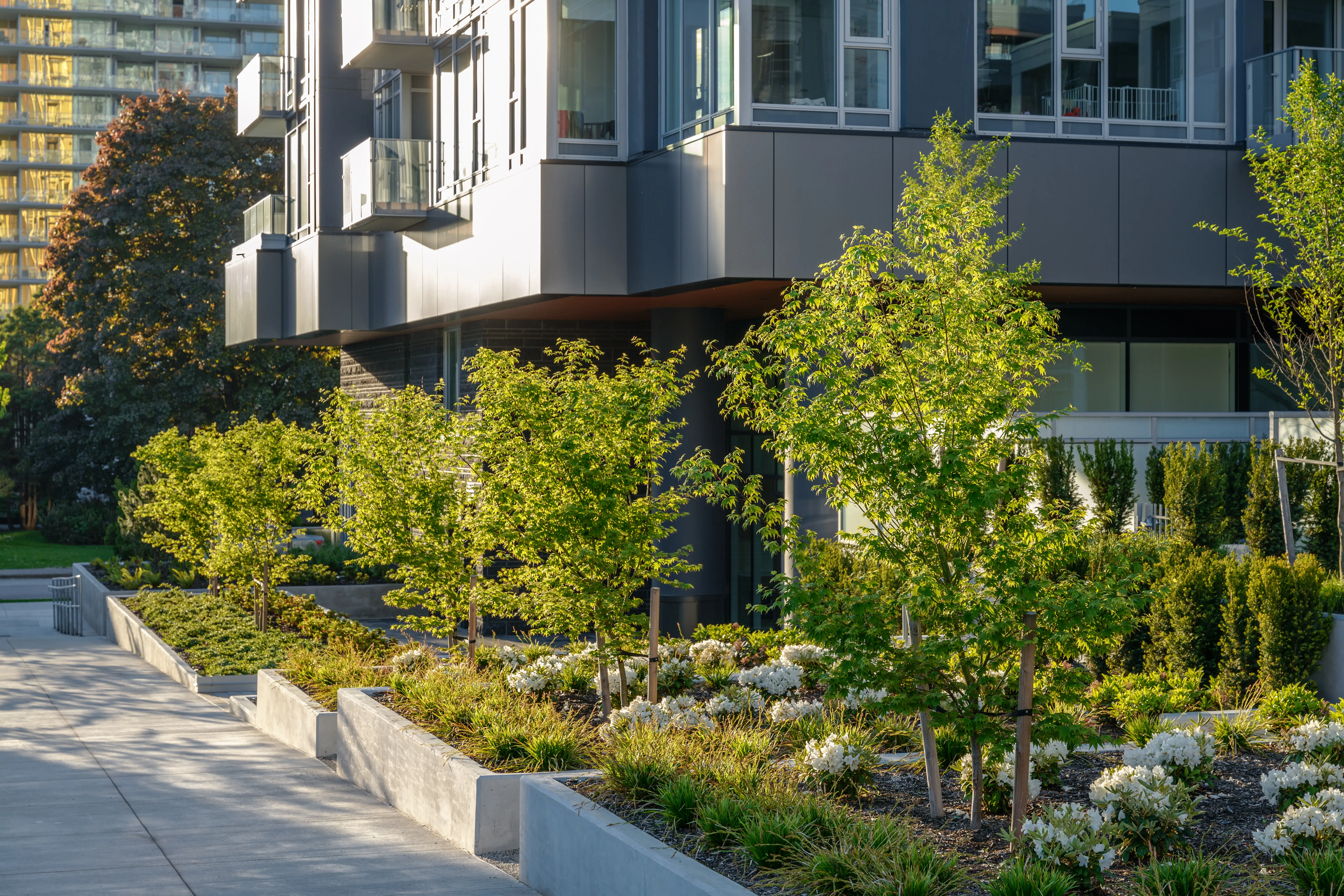 Trees, shrubs and grasses in planting beds along a residential building