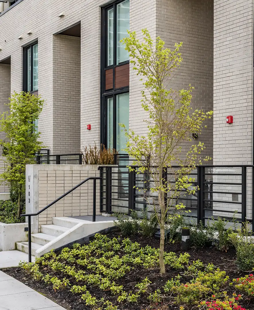 Townhome entry with a young tree and fresh planting beds