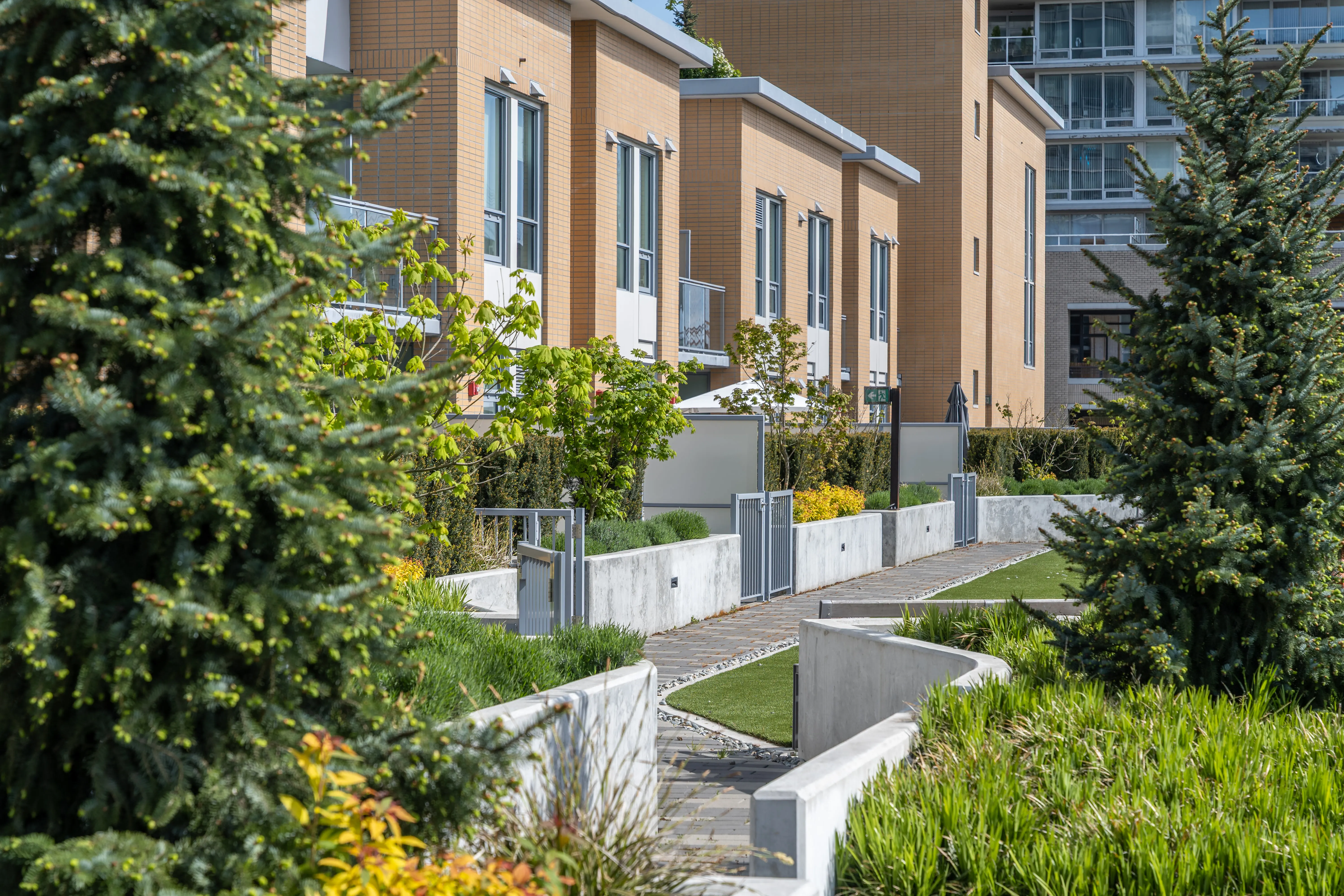 Terraced lawn and planting between townhomes at 618 Carnarvon