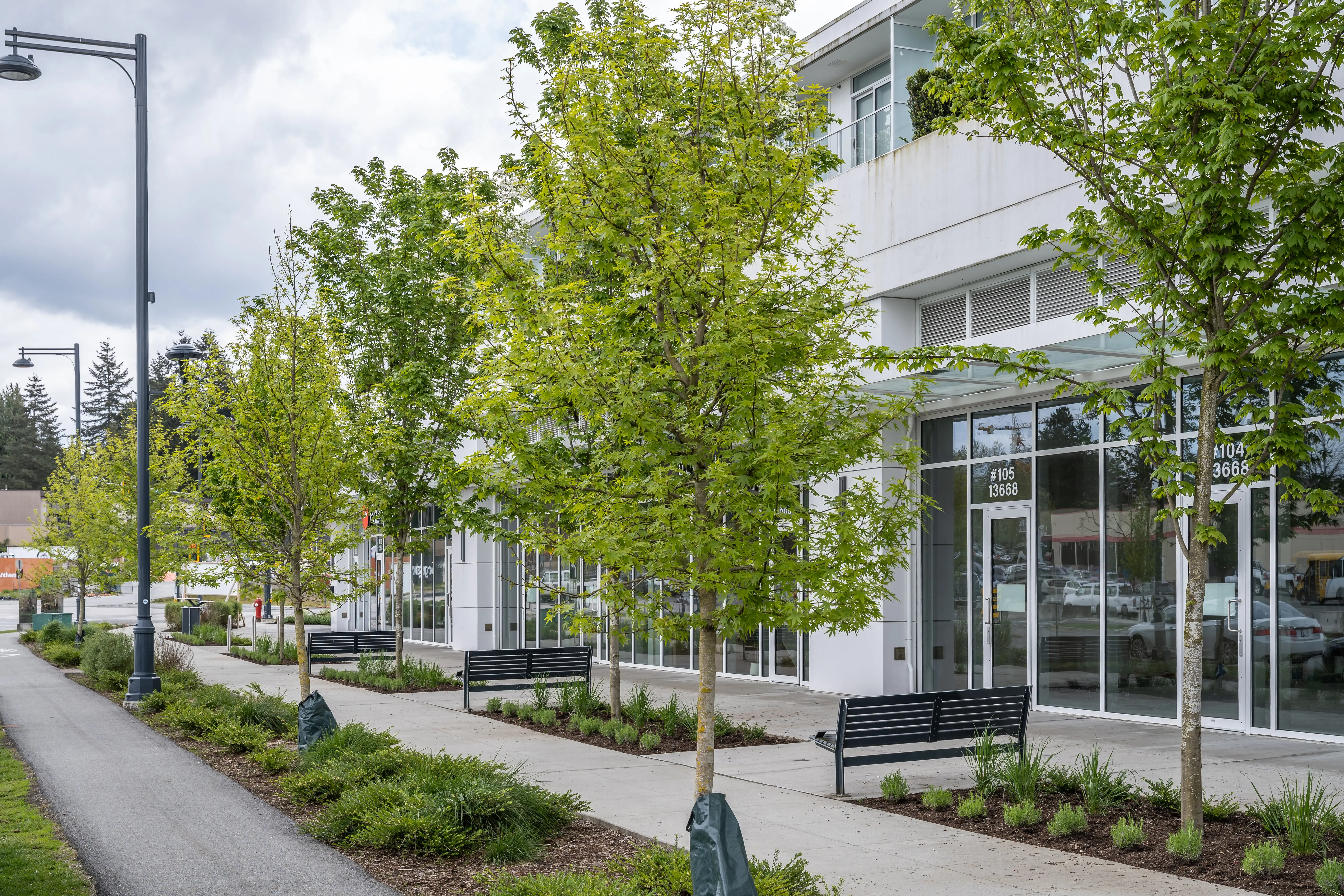 Tree-lined walkway with benches and lamp posts beside a mixed-use building at Georgetown