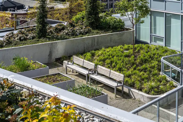 Rooftop planting beds with timber benches beside a building