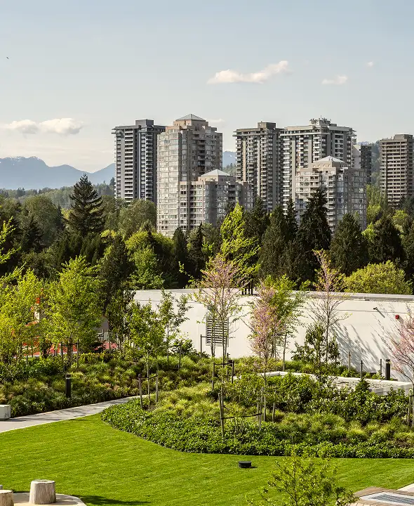 Lawn and planted mounds with high-rise towers and mountains beyond