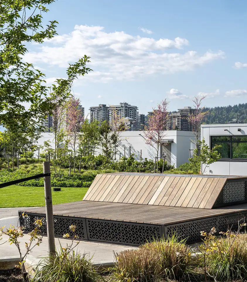 Timber lounge platform with planting and young trees on a rooftop