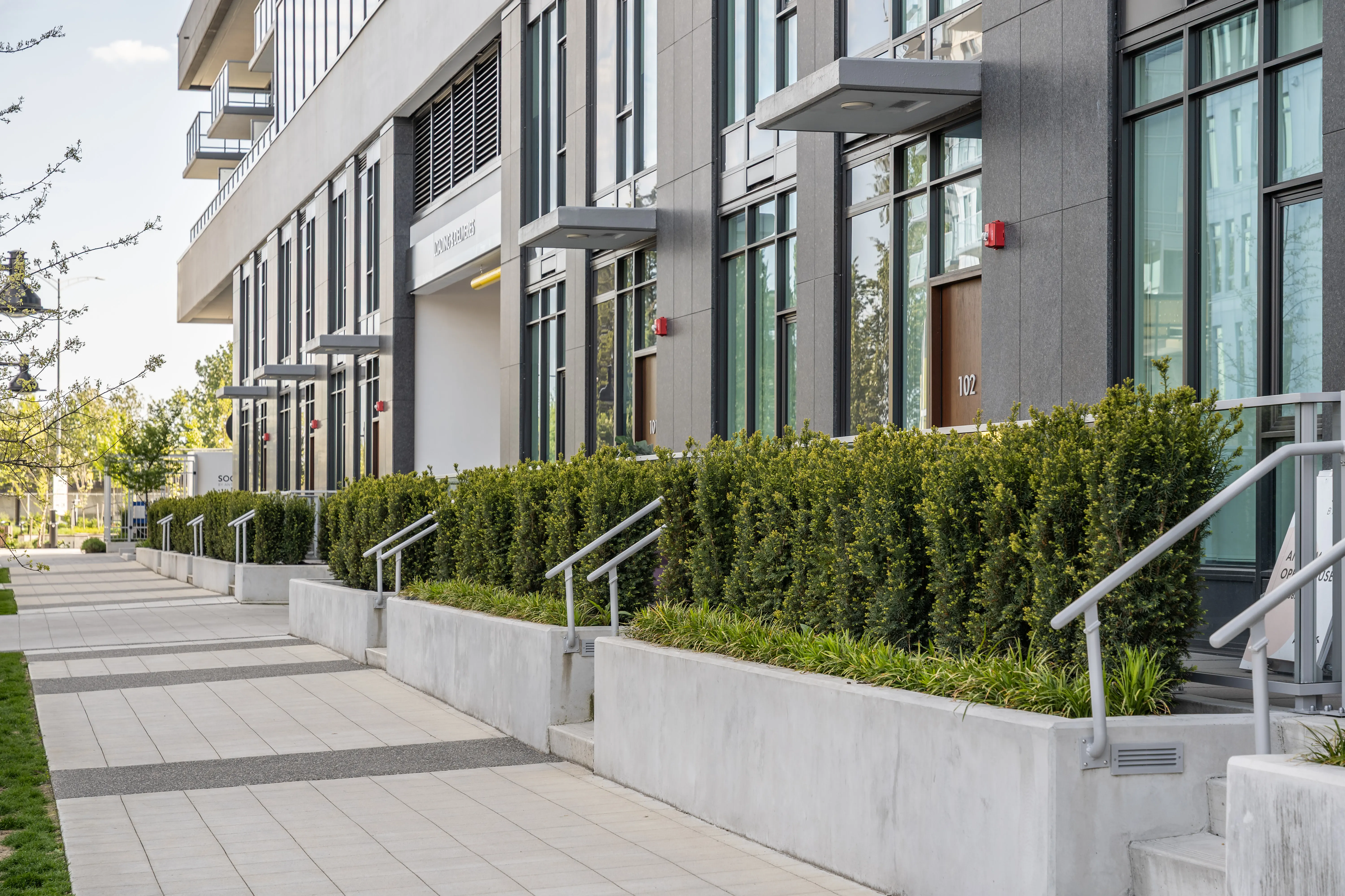 Hedges in raised planters along a residential walkway at Soco