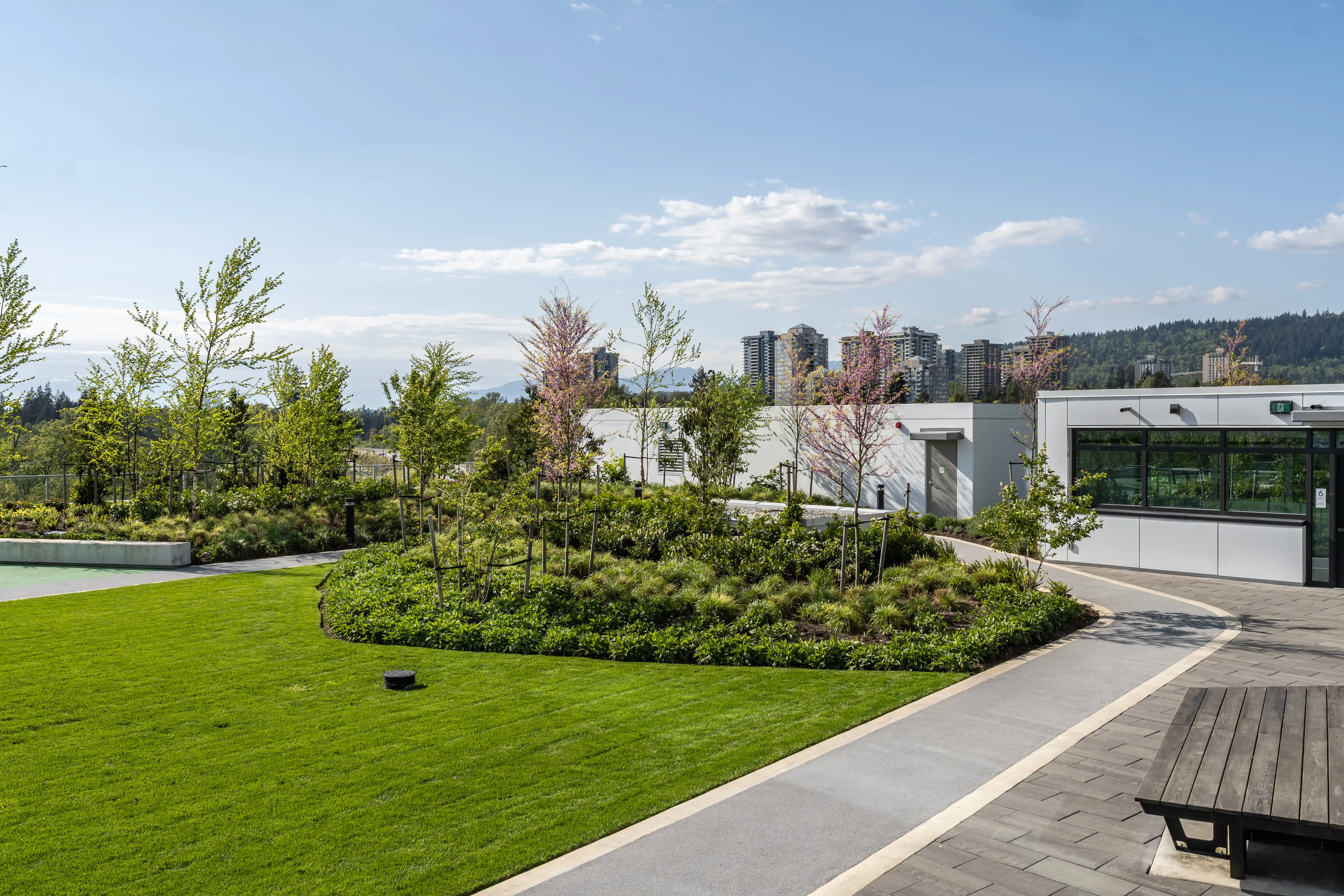 Rooftop lawn and planted mound beside a curved pathway at Soco