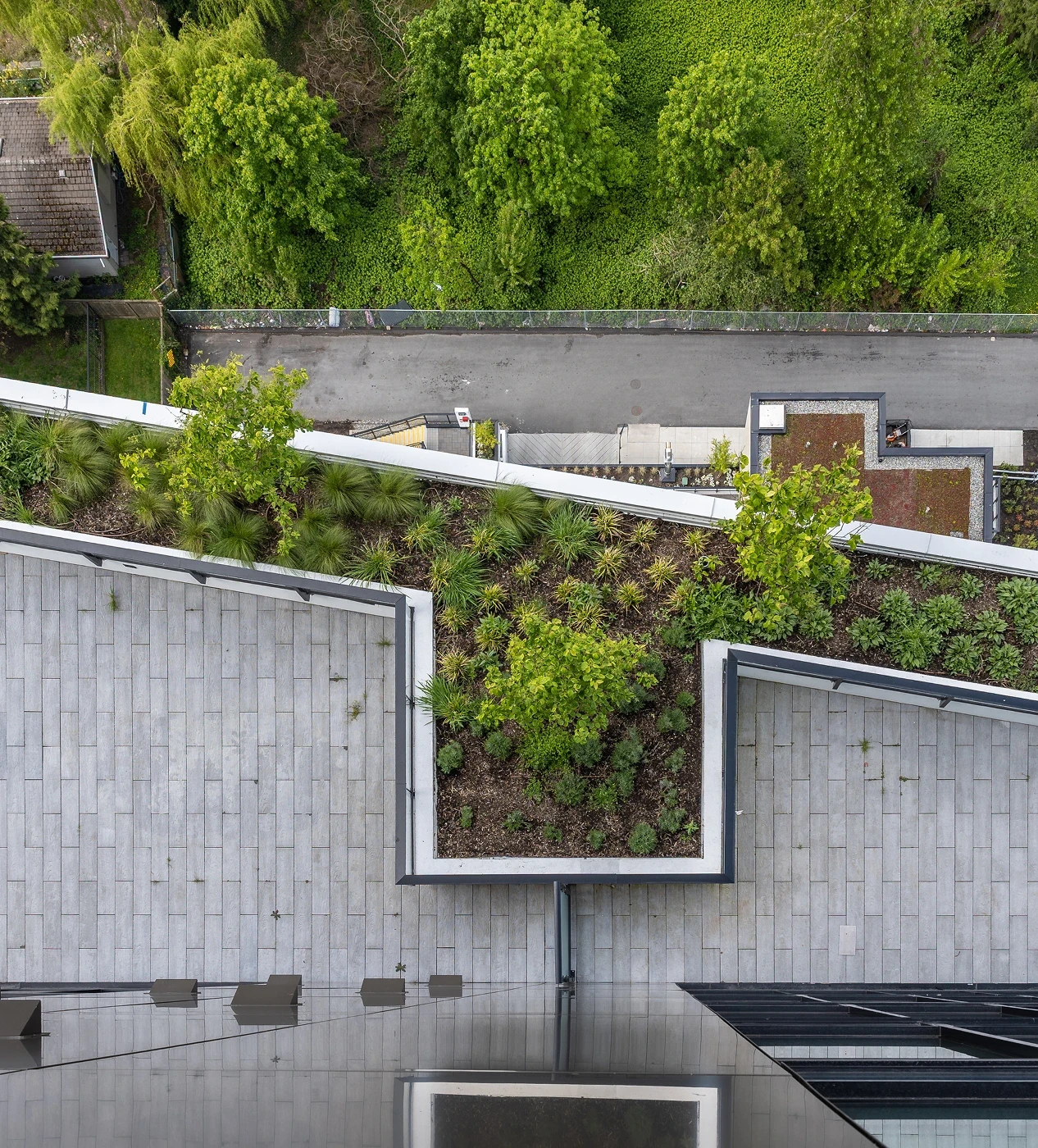 Aerial view of a stepped green roof planting at Melrose