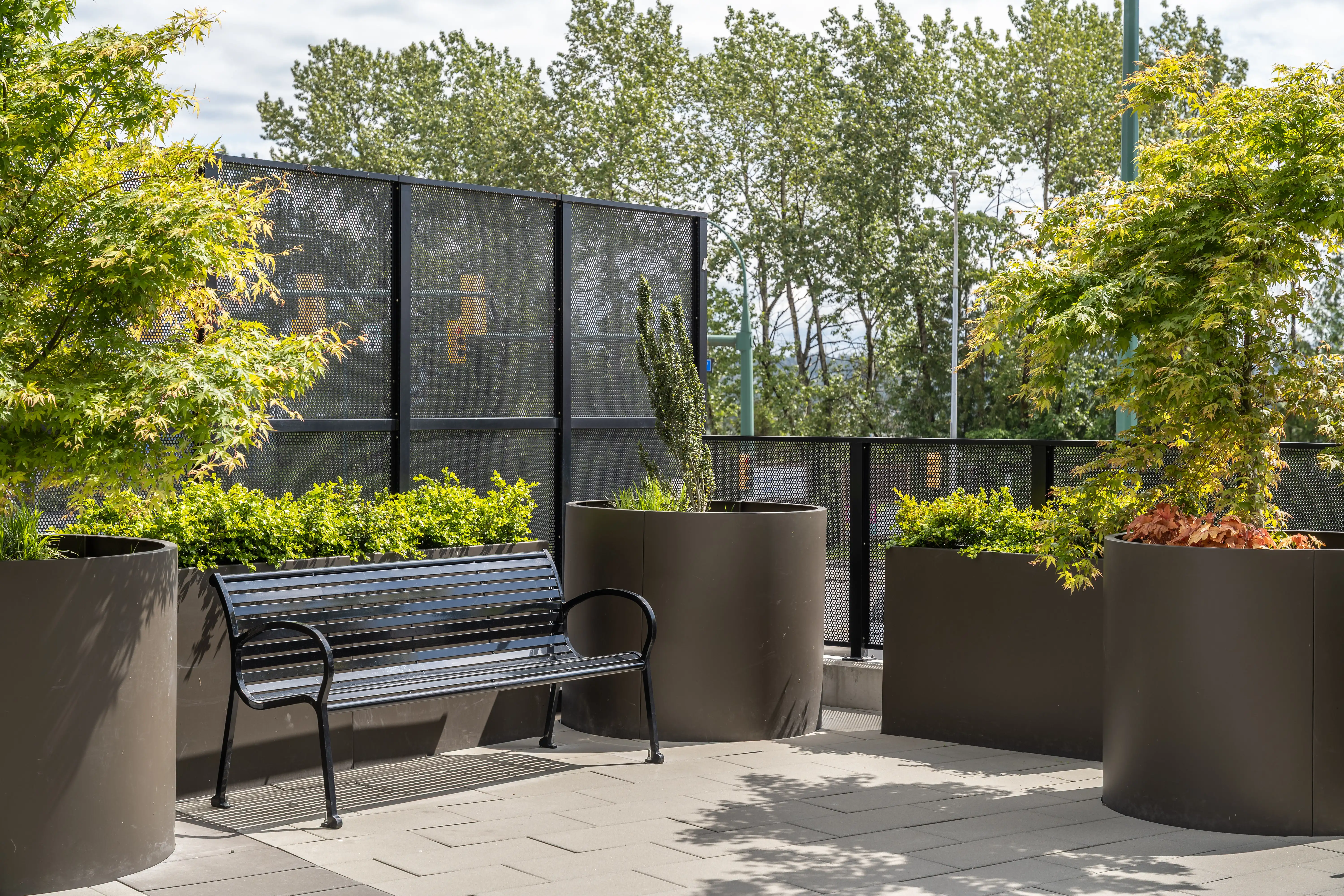 Bench and large planters with trees on a rooftop terrace at Loma